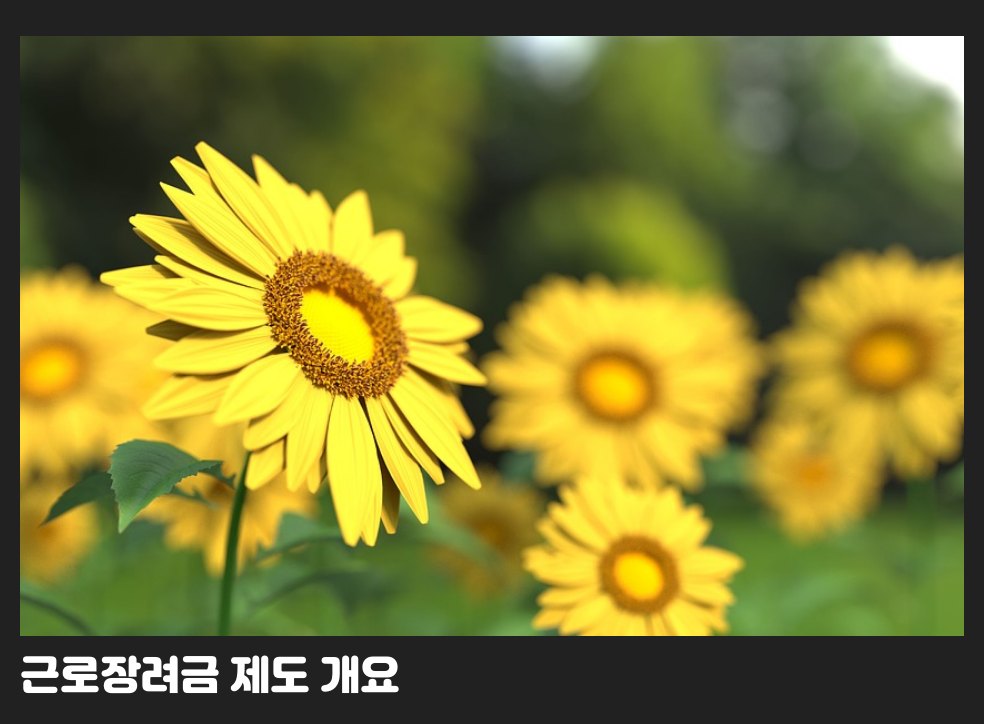 근로장려금 제도 개요