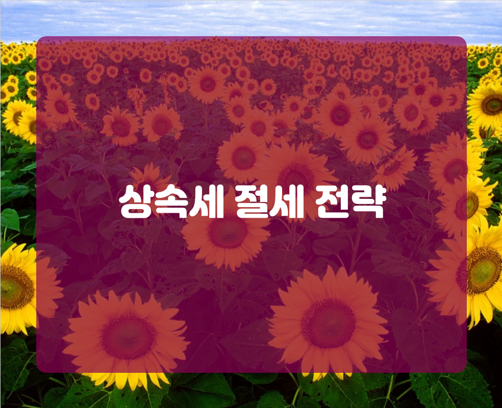 상속세 절세 전략
