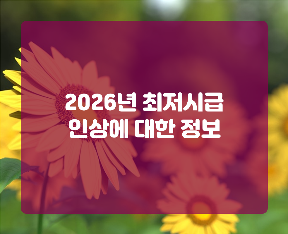 2026년 최저시급 인상에 대한 정보