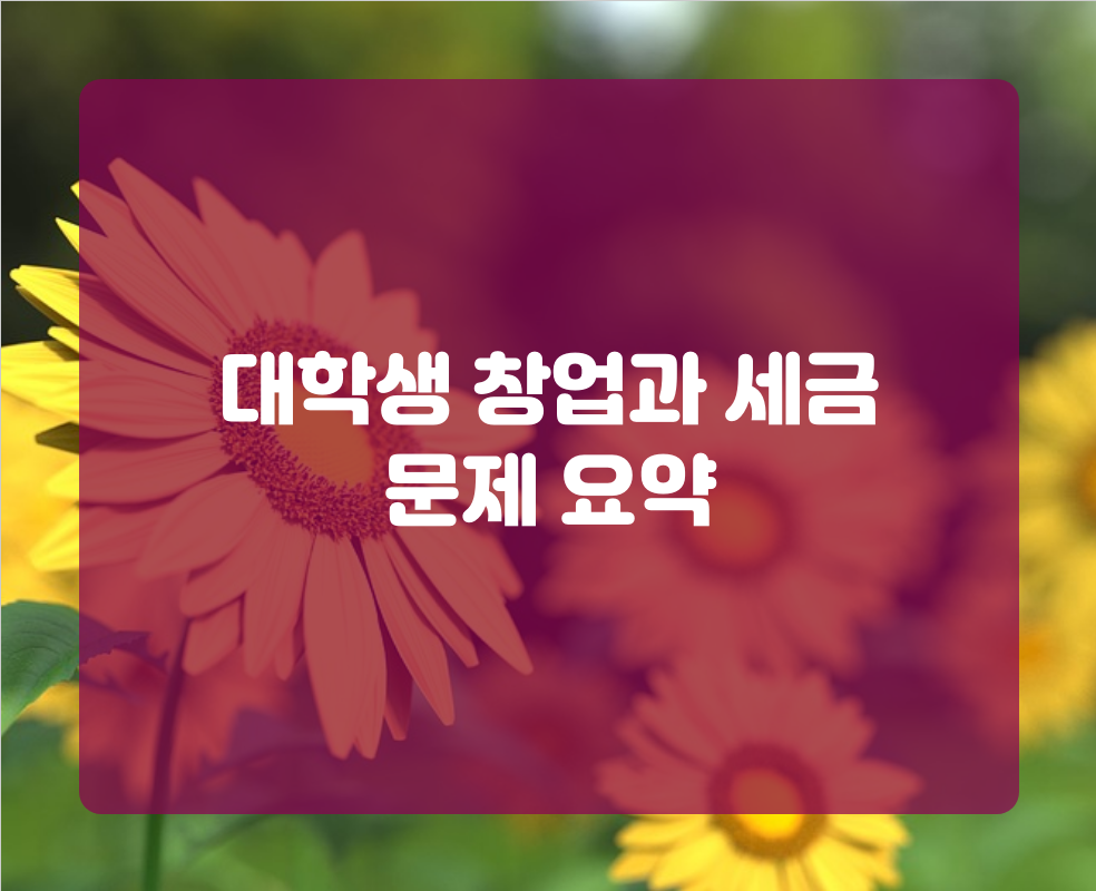 대학생 창업과 세금 문제 요약