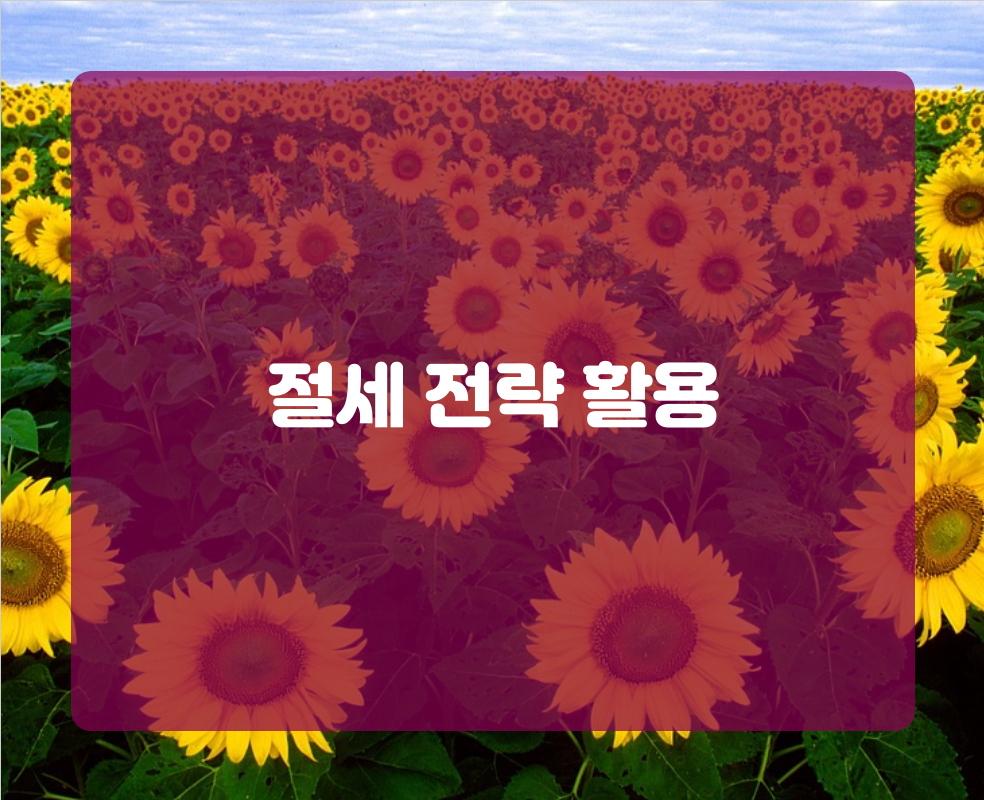 절세 전략 활용