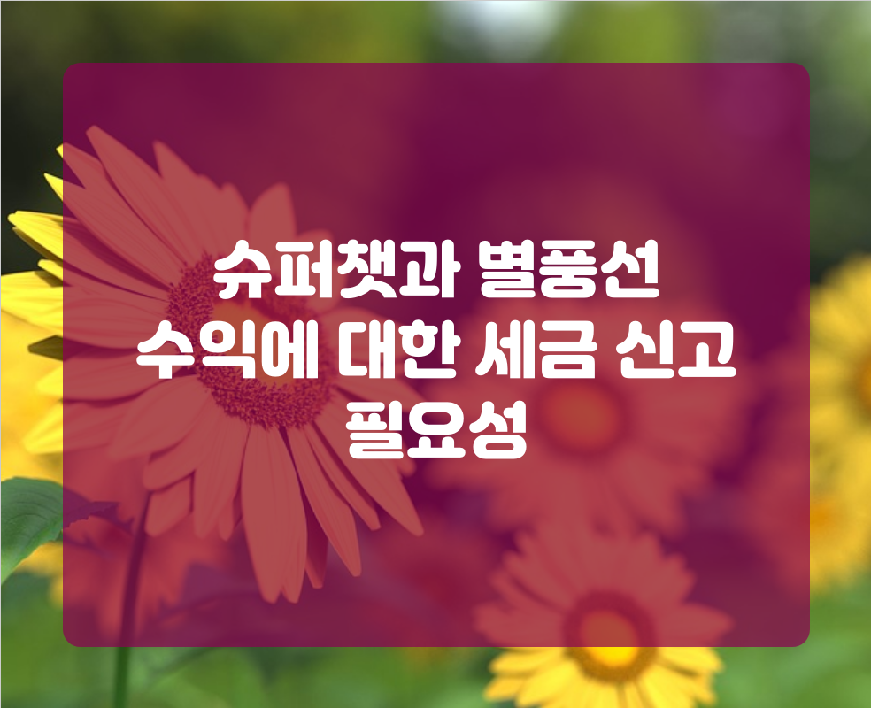 슈퍼챗과 별풍선 수익에 대한 세금 신고 필요성