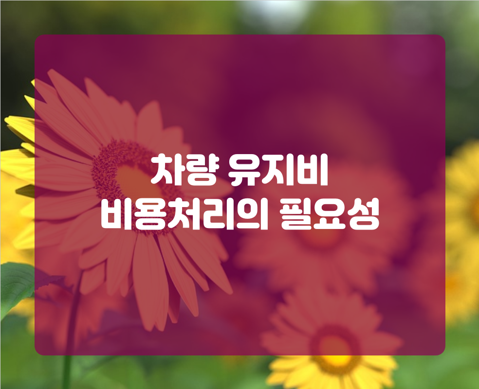 차량 유지비 비용처리의 필요성