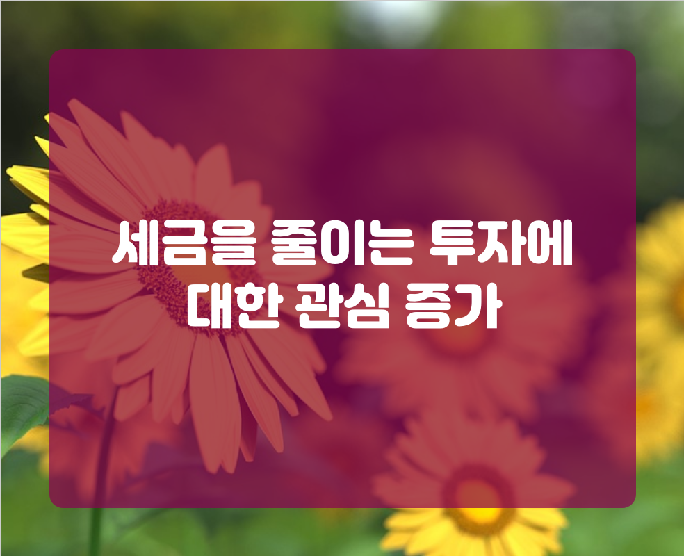 세금을 줄이는 투자에 대한 관심 증가