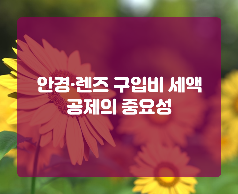 안경·렌즈 구입비 세액 공제의 중요성