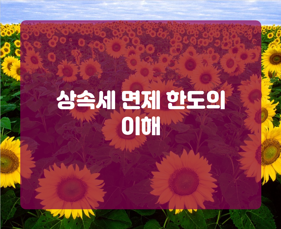 상속세 면제 한도의 이해