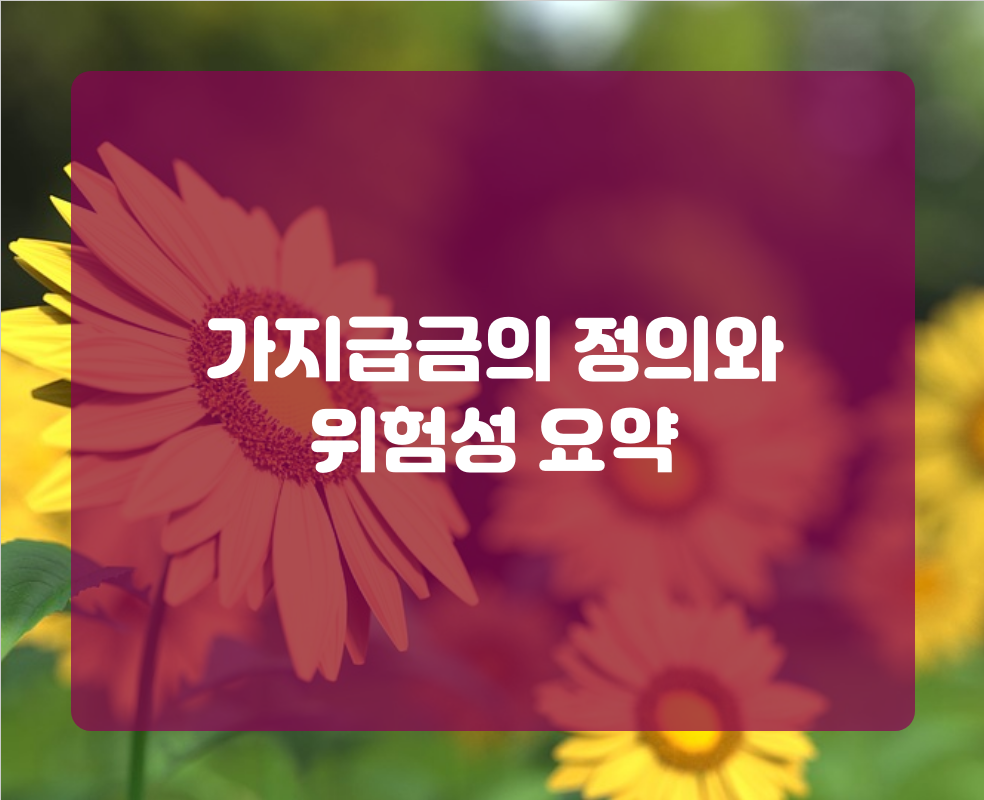 가지급금의 정의와 위험성 요약