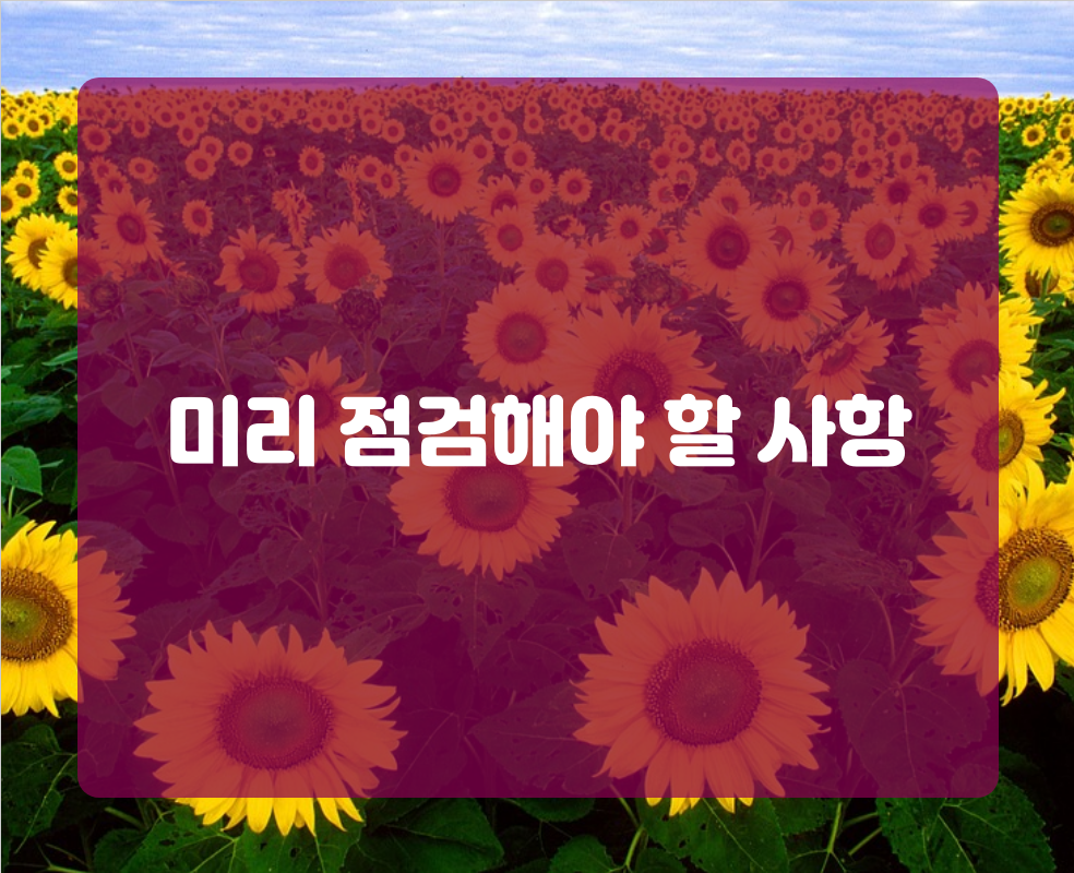 미리 점검해야 할 사항