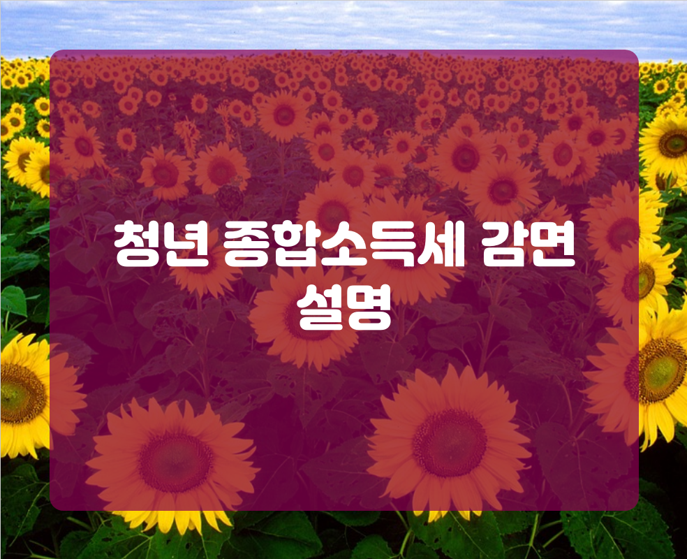청년 종합소득세 감면 설명