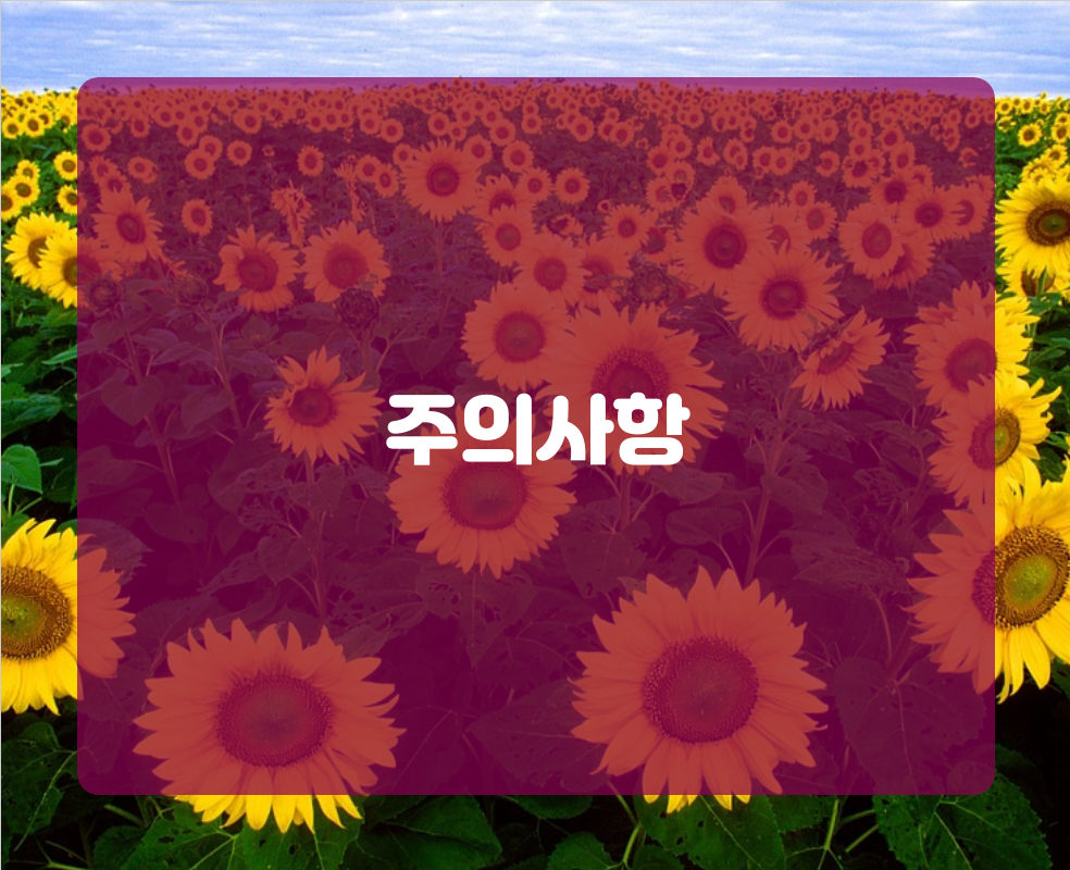 주의사항