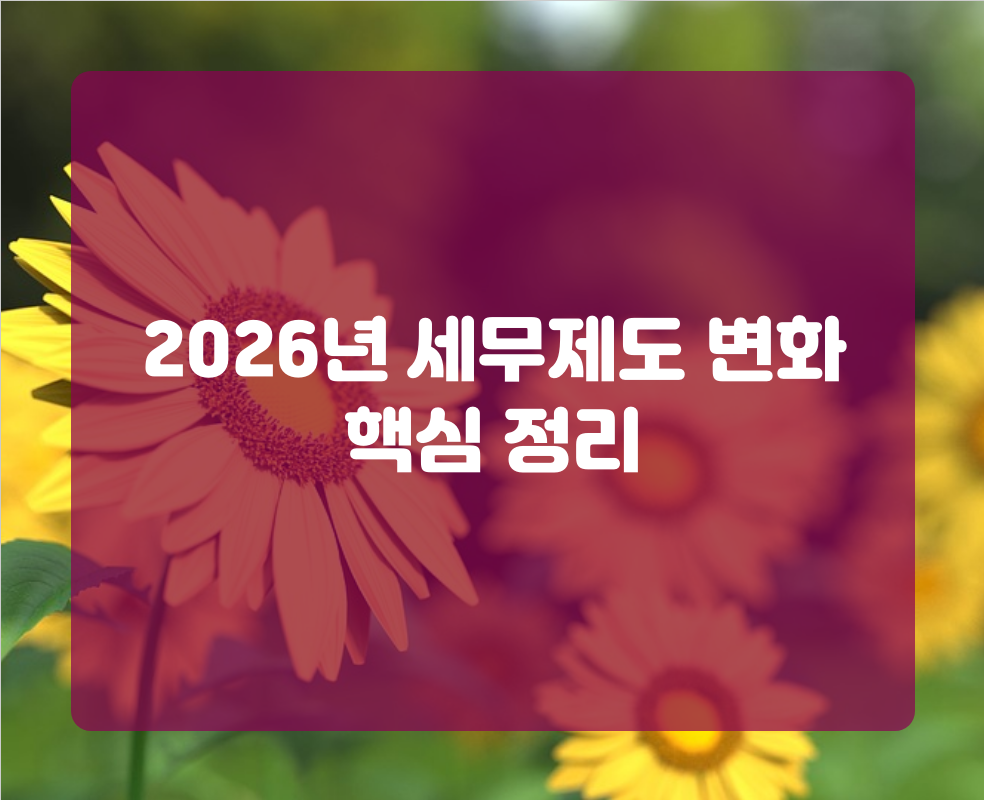 2026년 세무제도 변화 핵심 정리