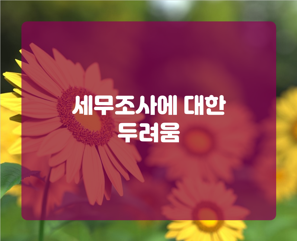 세무조사에 대한 두려움