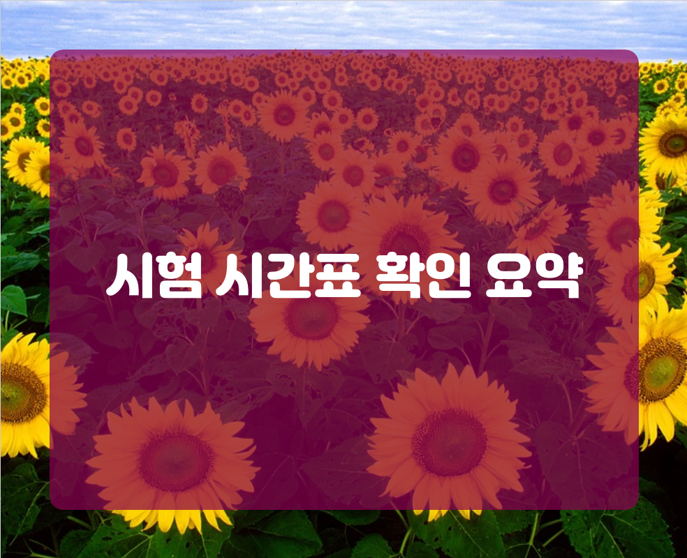 시험 시간표 확인 요약
