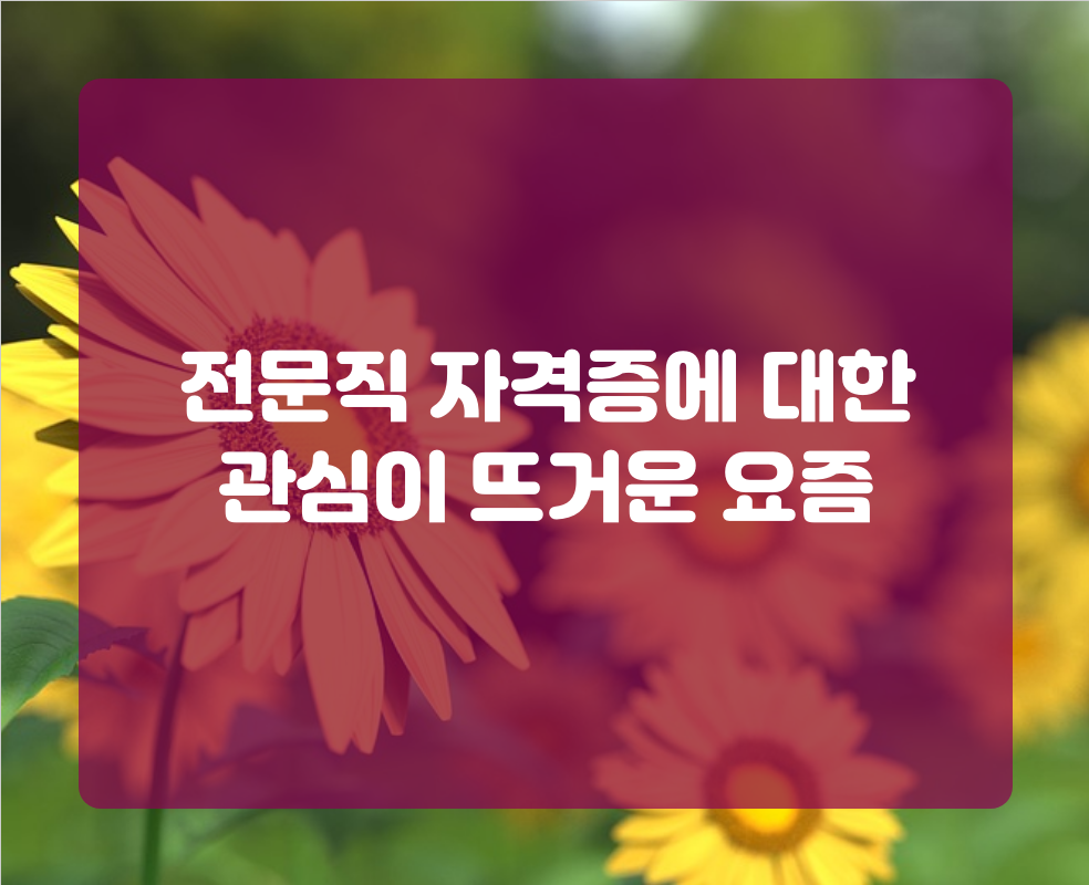 전문직 자격증에 대한 관심이 뜨거운 요즘