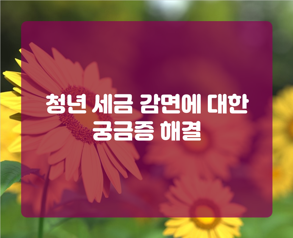청년 세금 감면에 대한 궁금증 해결