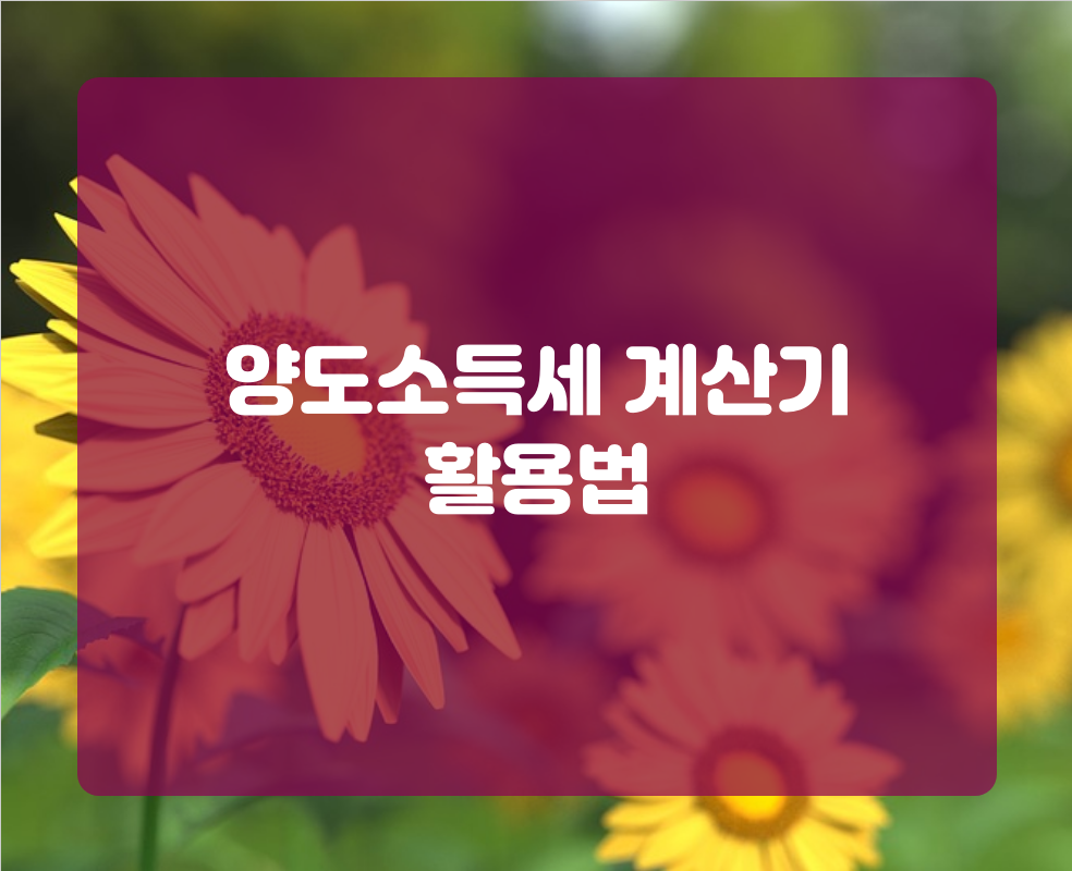 양도소득세 계산기 활용법
