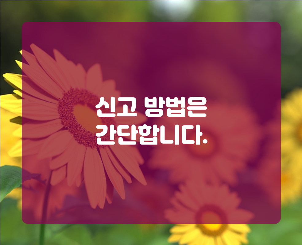 신고 방법은 간단합니다.