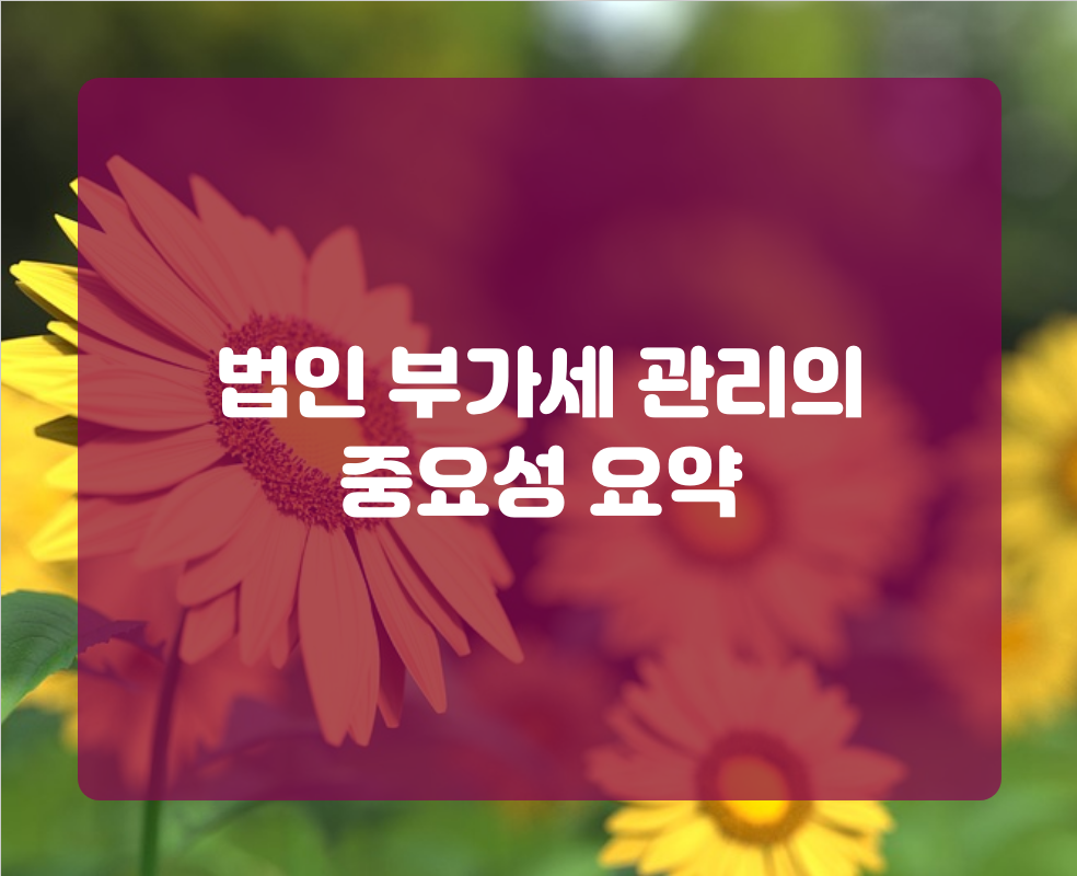 법인 부가세 관리의 중요성 요약