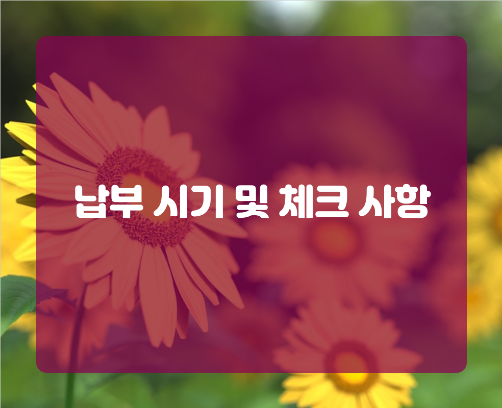 납부 시기 및 체크 사항