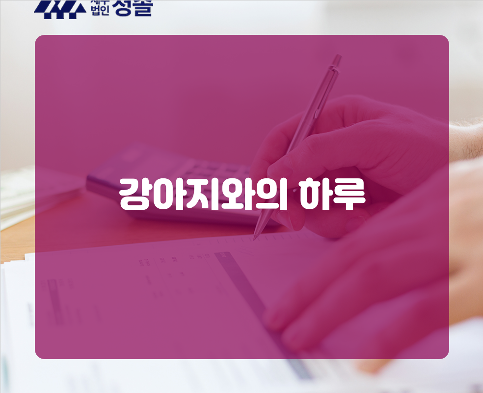 강아지와의 하루