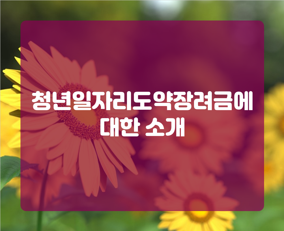 청년일자리도약장려금에 대한 소개