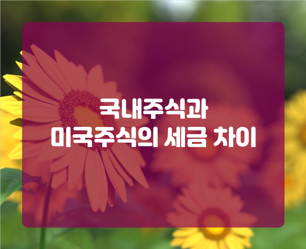 국내주식과 미국주식의 세금 차이
