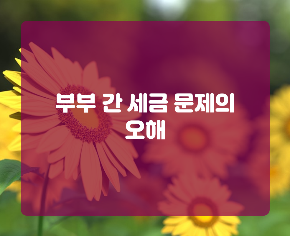 부부 간 세금 문제의 오해