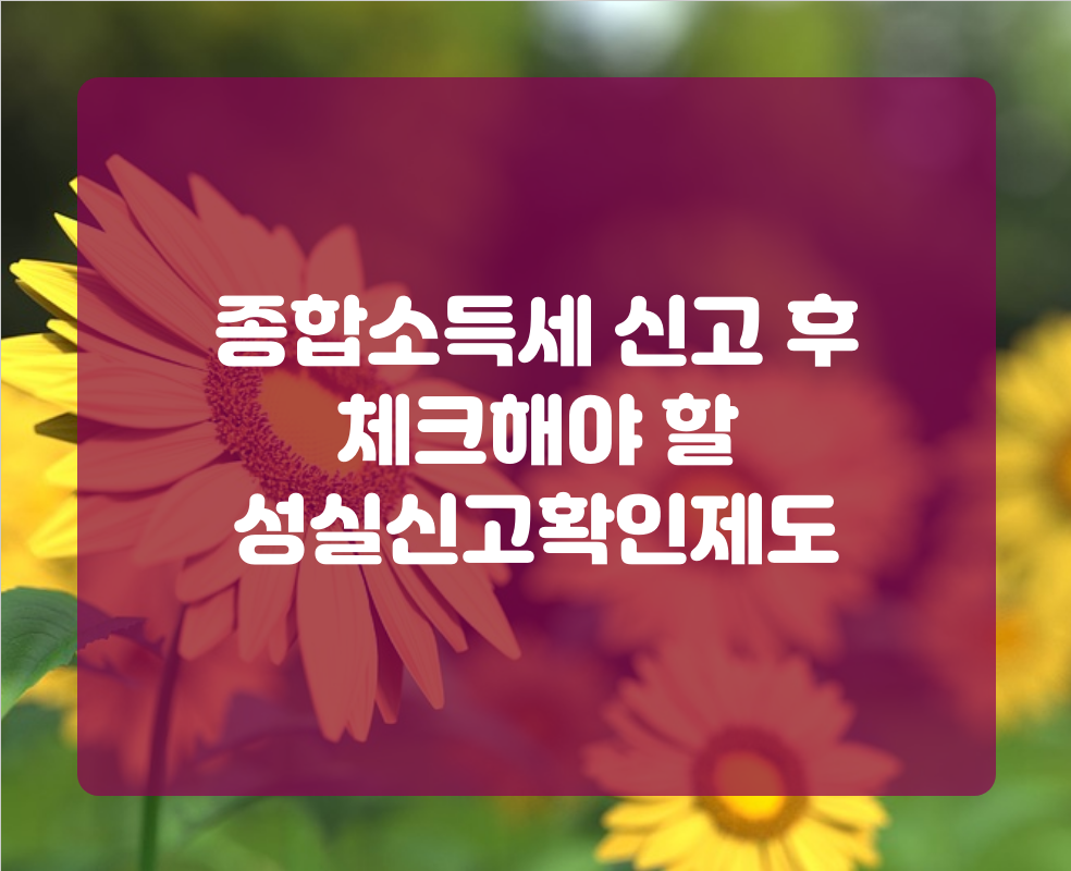 종합소득세 신고 후 체크해야 할 성실신고확인제도