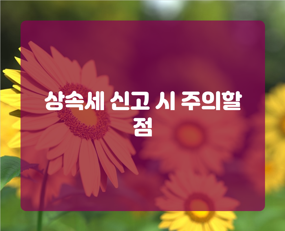 상속세 신고 시 주의할 점