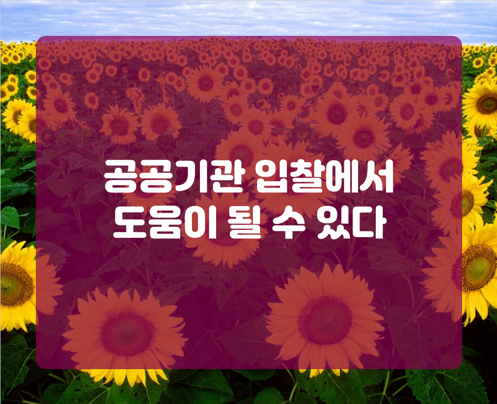 공공기관 입찰에서 도움이 될 수 있다