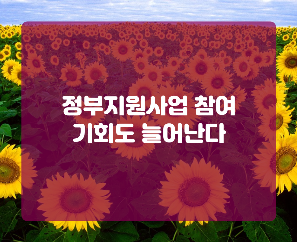 정부지원사업 참여 기회도 늘어난다