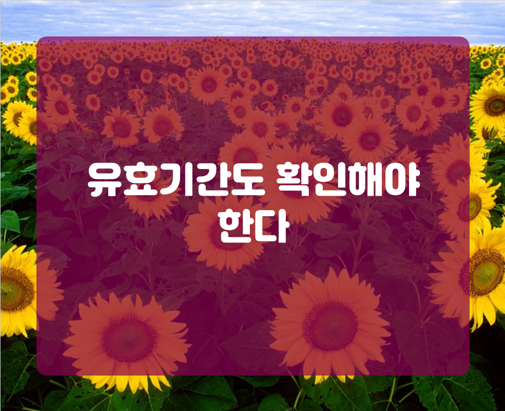 유효기간도 확인해야 한다