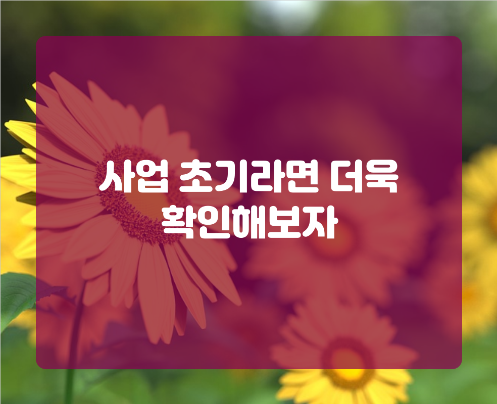 사업 초기라면 더욱 확인해보자