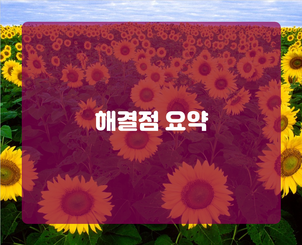해결점 요약