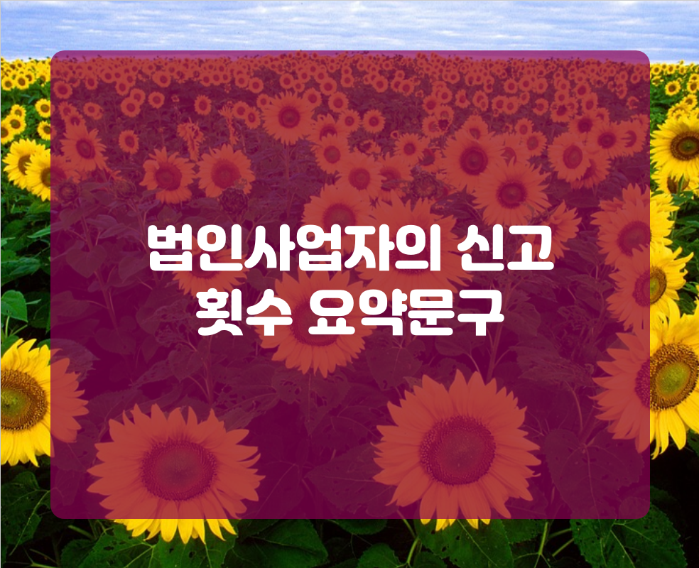 법인사업자의 신고 횟수 요약문구