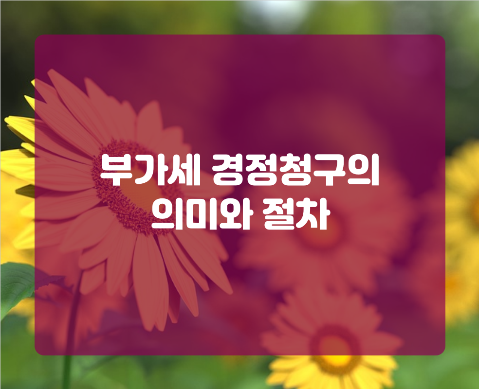부가세 경정청구의 의미와 절차