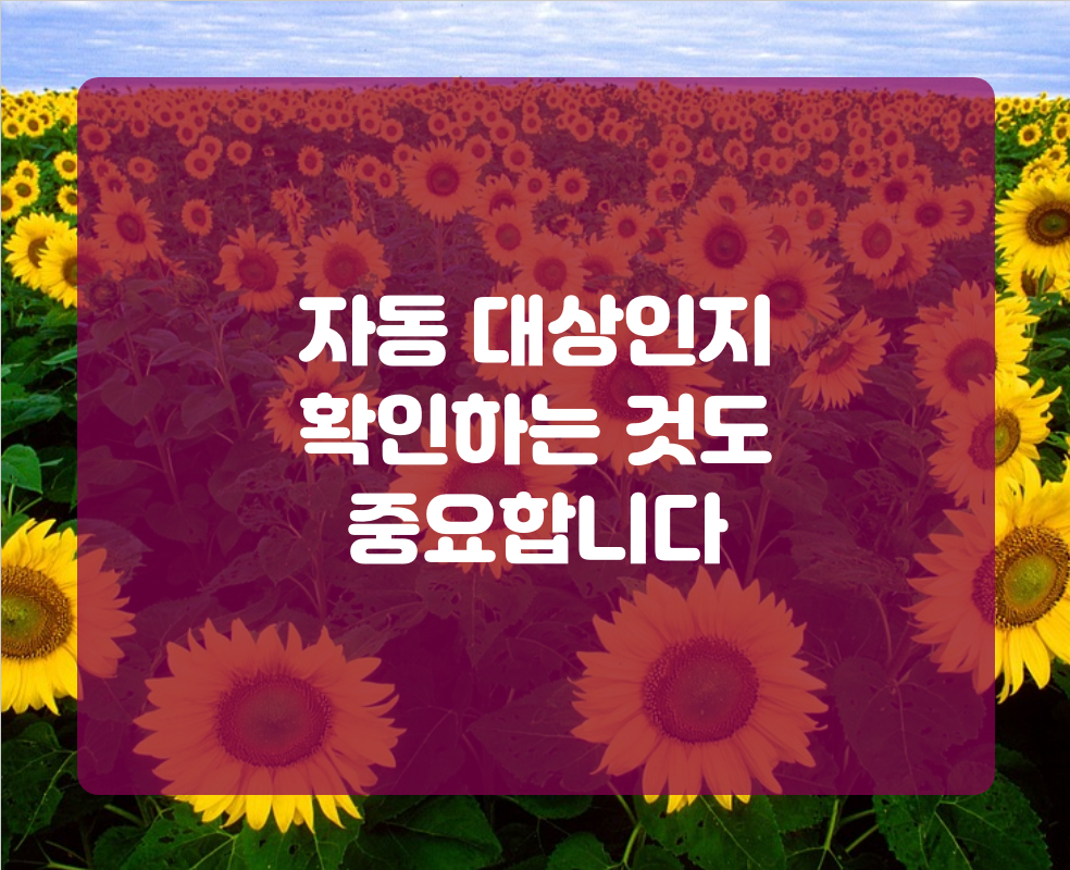 자동 대상인지 확인하는 것도 중요합니다