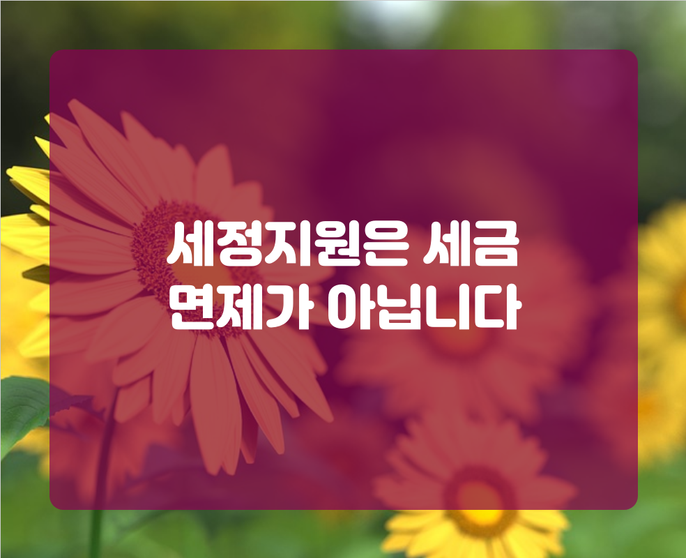 세정지원은 세금 면제가 아닙니다