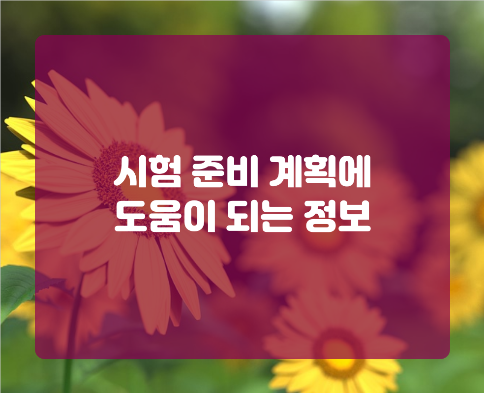 시험 준비 계획에 도움이 되는 정보