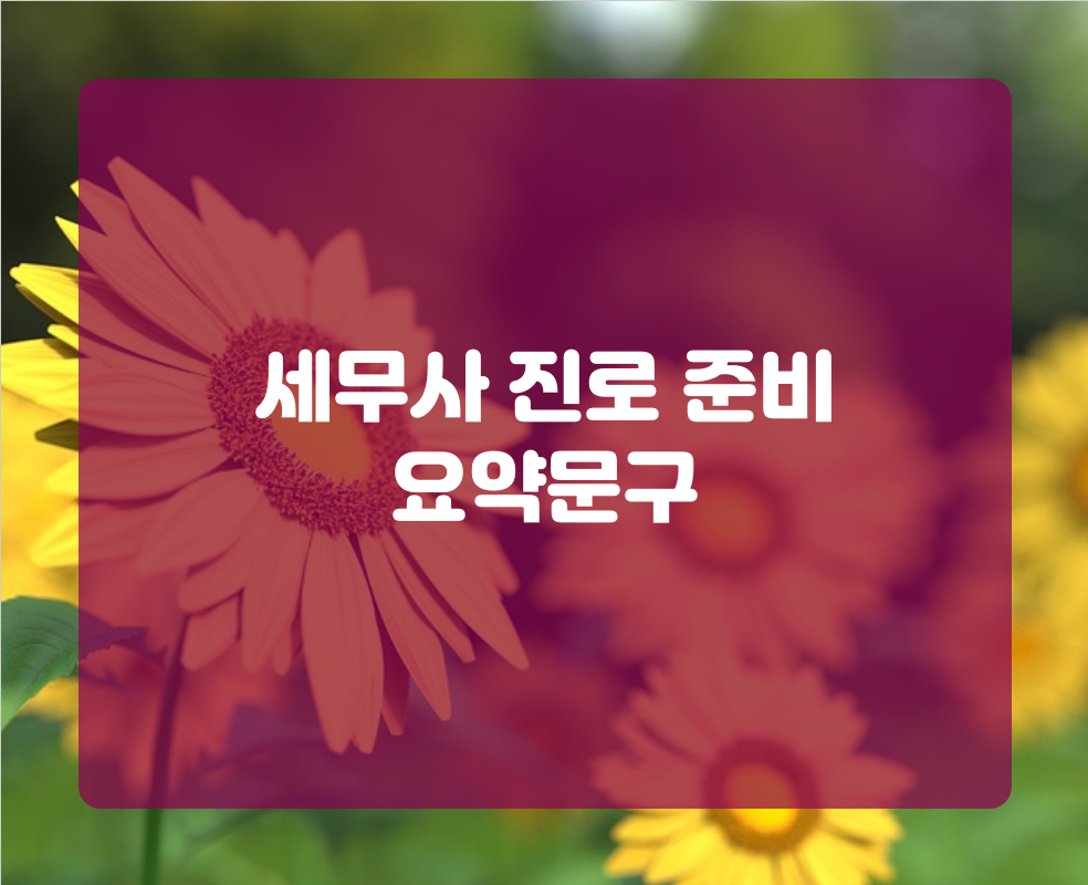 세무사 진로 준비 요약문구