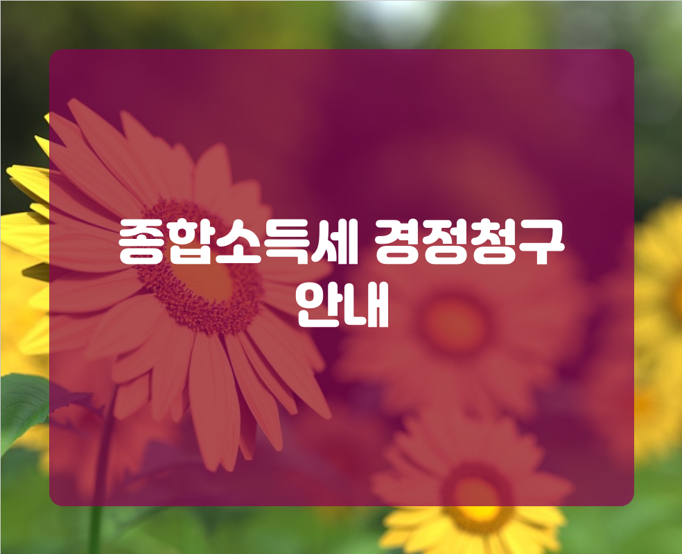종합소득세 경정청구 안내