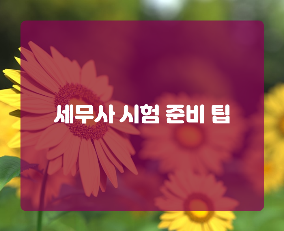 세무사 시험 준비 팁