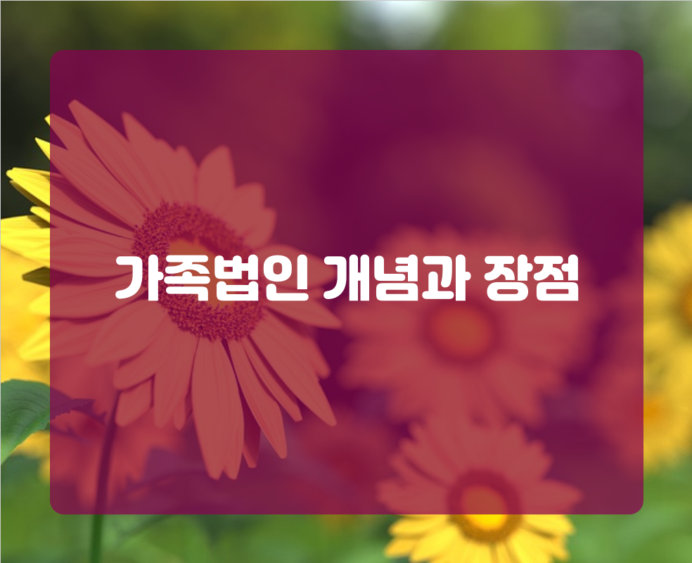 가족법인 개념과 장점