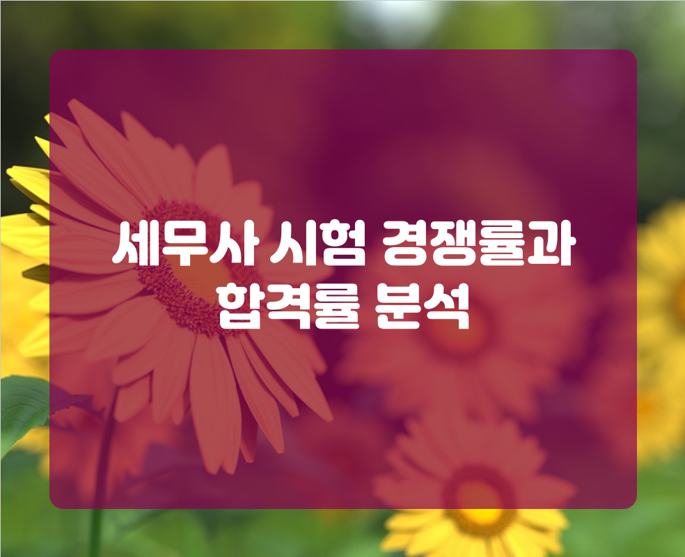 세무사 시험 경쟁률과 합격률 분석