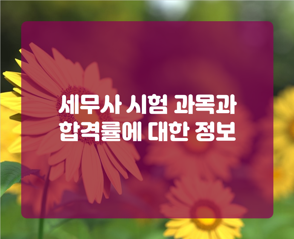 세무사 시험 과목과 합격률에 대한 정보