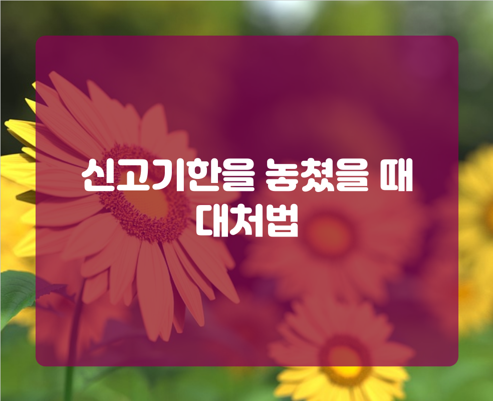신고기한을 놓쳤을 때 대처법